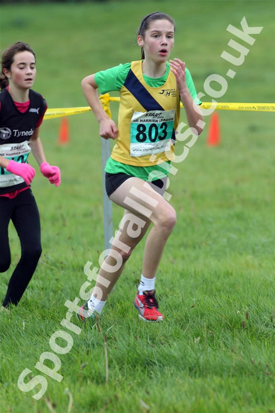 Greens 803, North-East Harriers League, Cramlington
